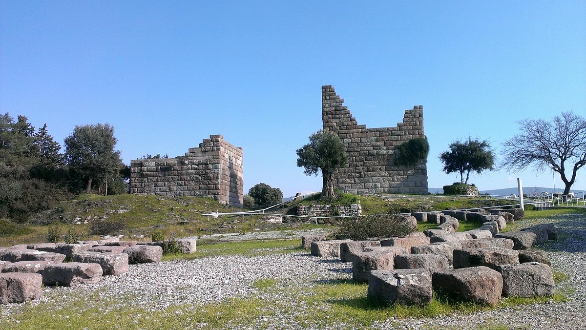 myndus-gate