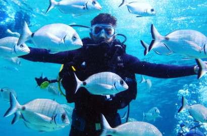 Scuba Diving