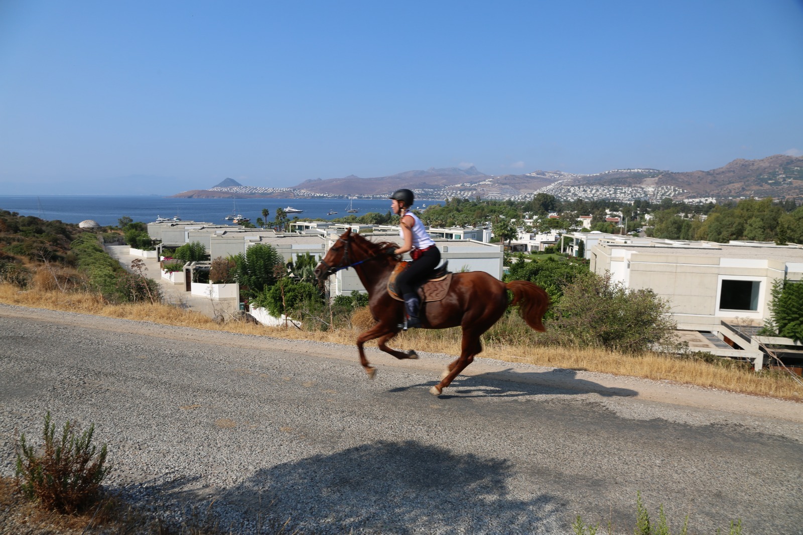 Horse Riding Tour