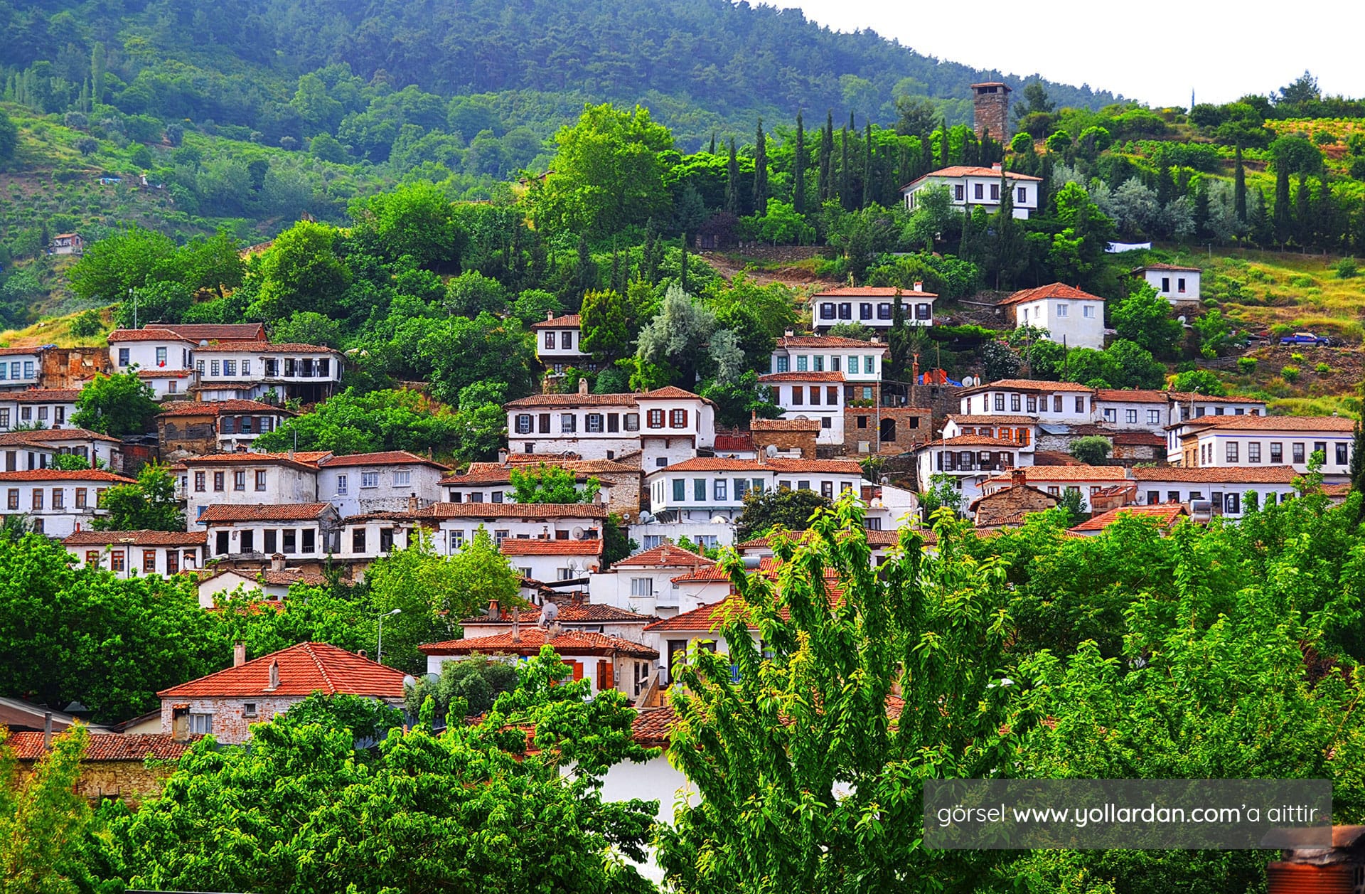 Magnificent Ephesus